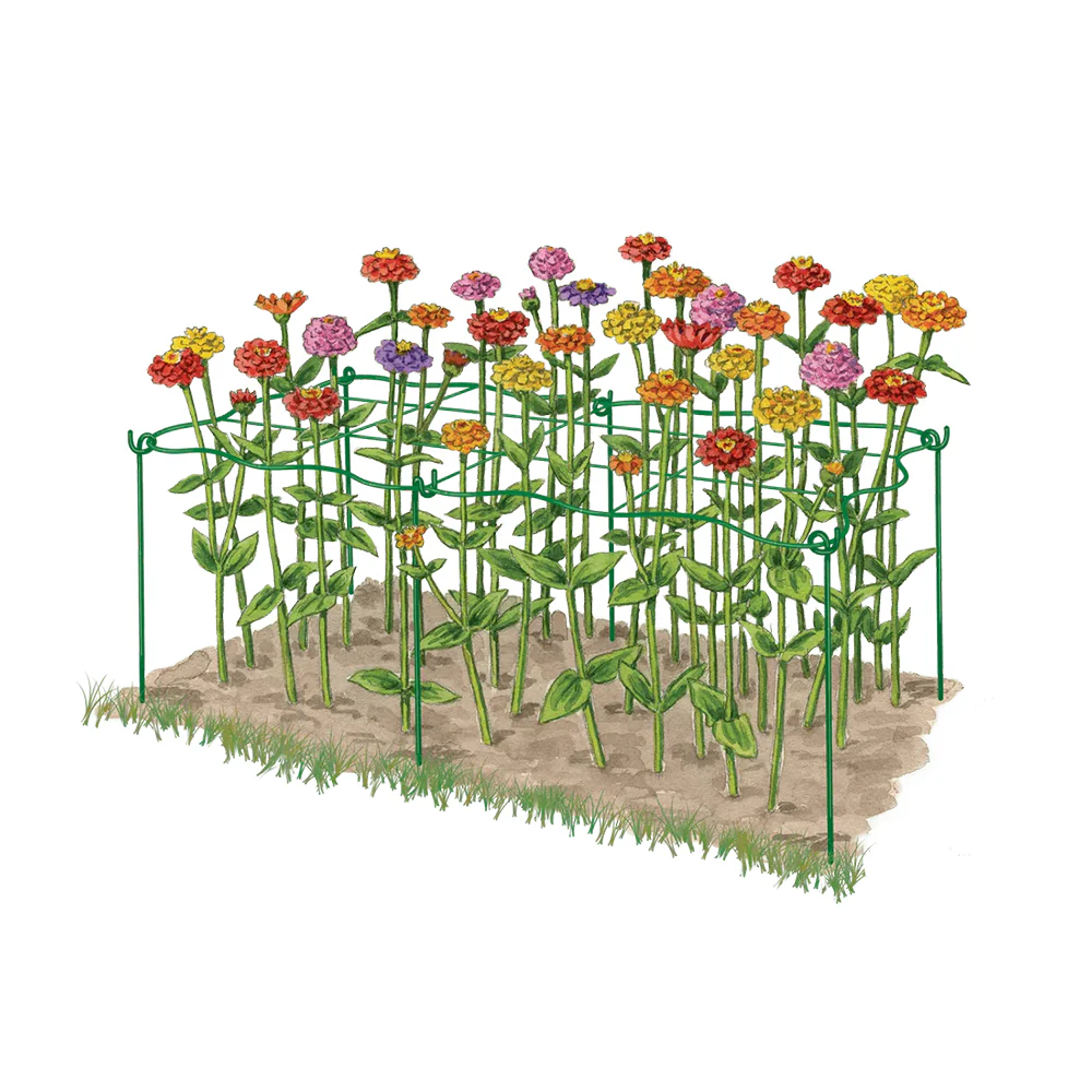 Cut Flower Grid Support, Set of 2 - Image 4