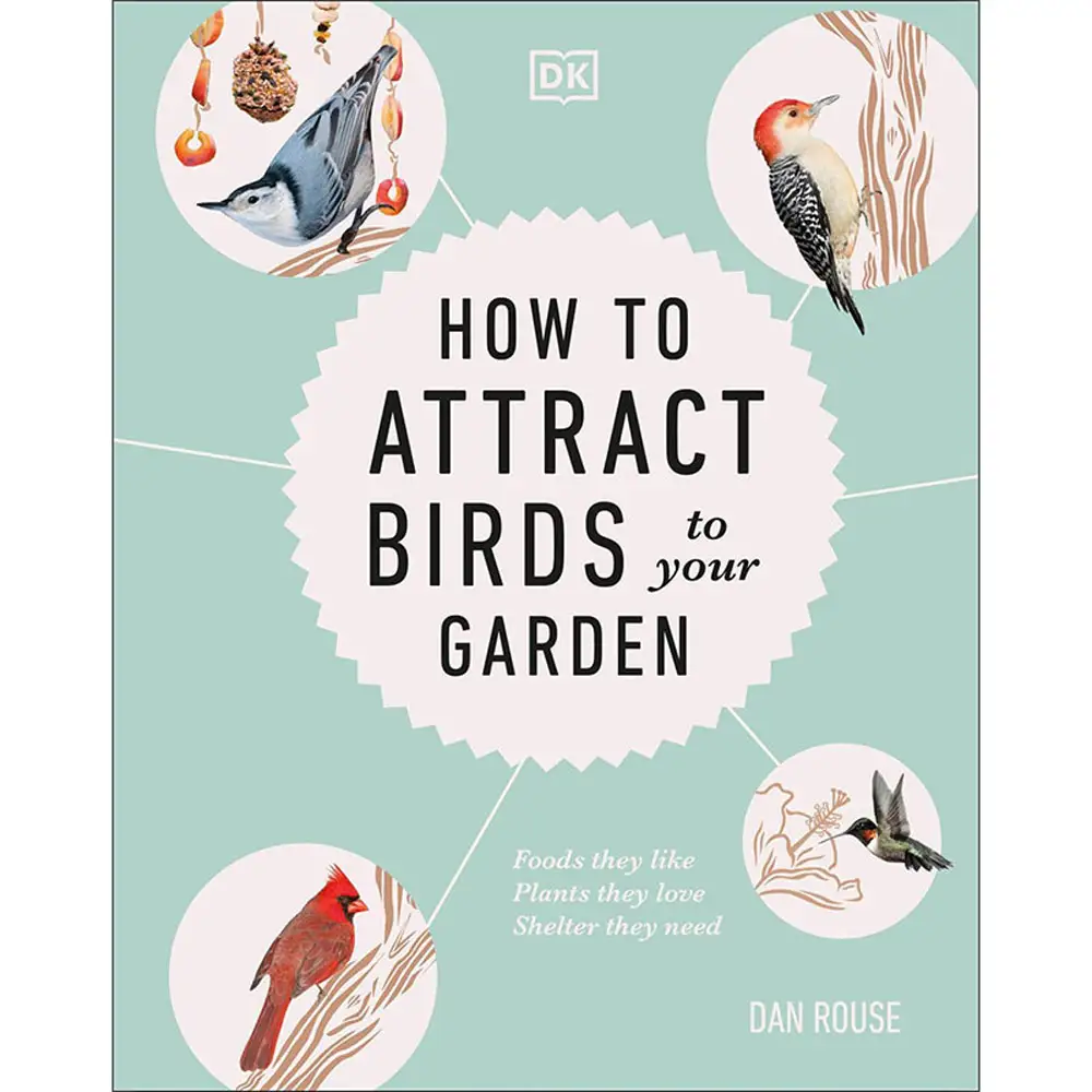 How to Attract Birds to Your Garden