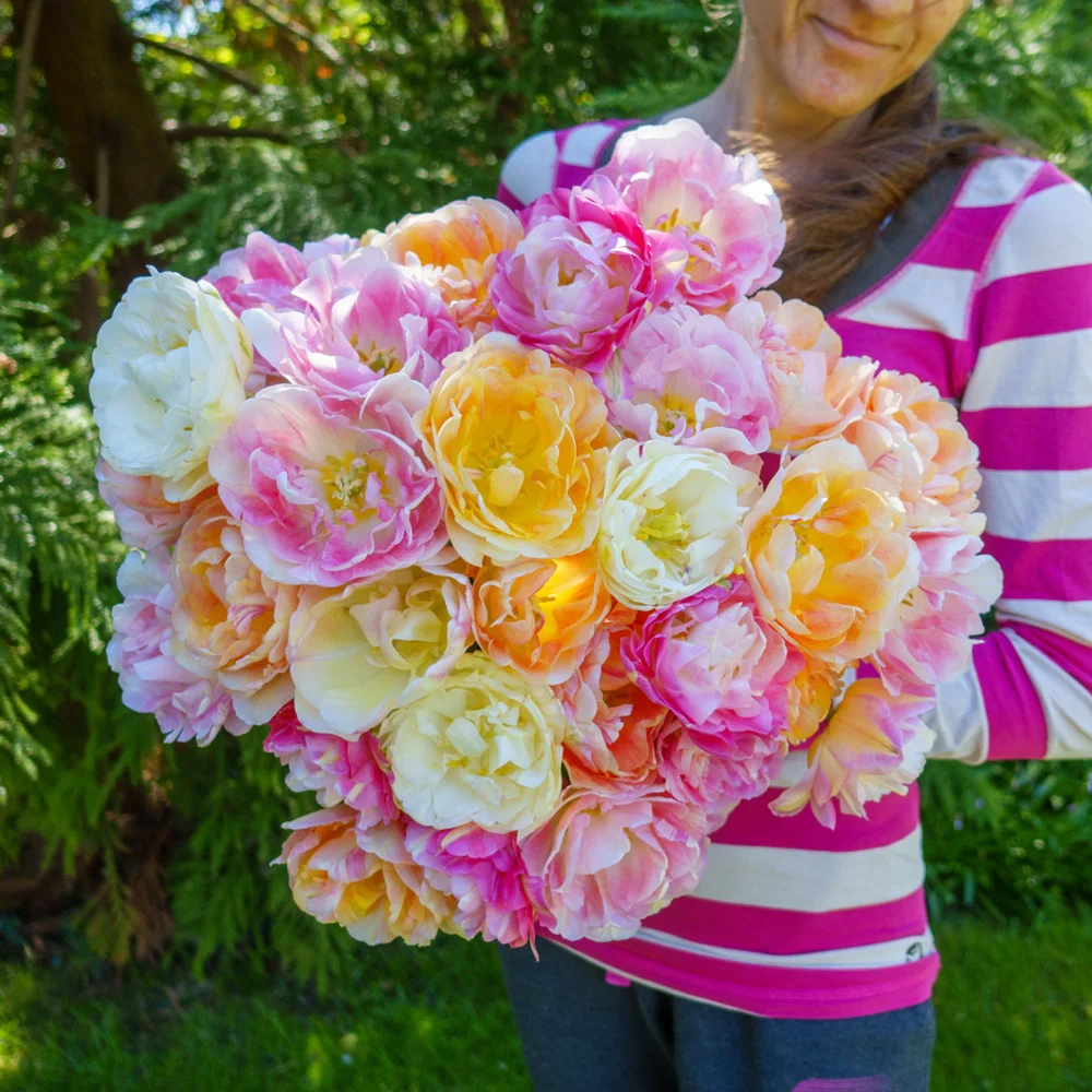Pink Moscato Tulip Blend - Image 2