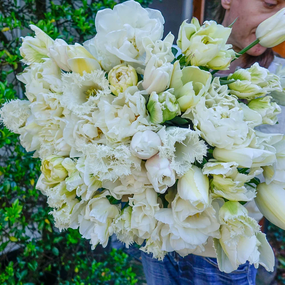 Riesling Tulip Blend - Image 2